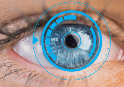 retina